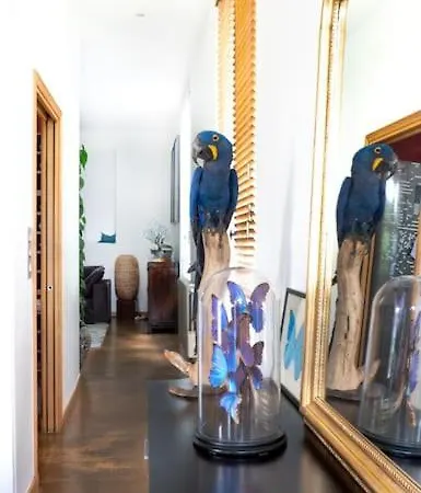 Appartamento Magnifique Penthouse
